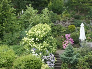 Aufgang u. Terrasse Larix