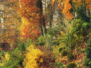Hanggarten hinter "Larix"