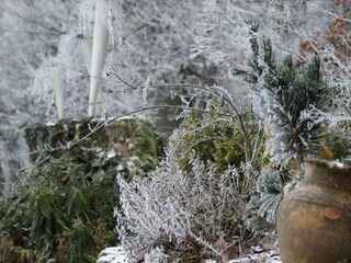 Garten Haus Ilex - Winter