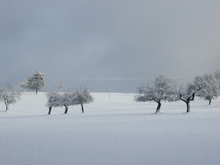 Hochmark im Winter