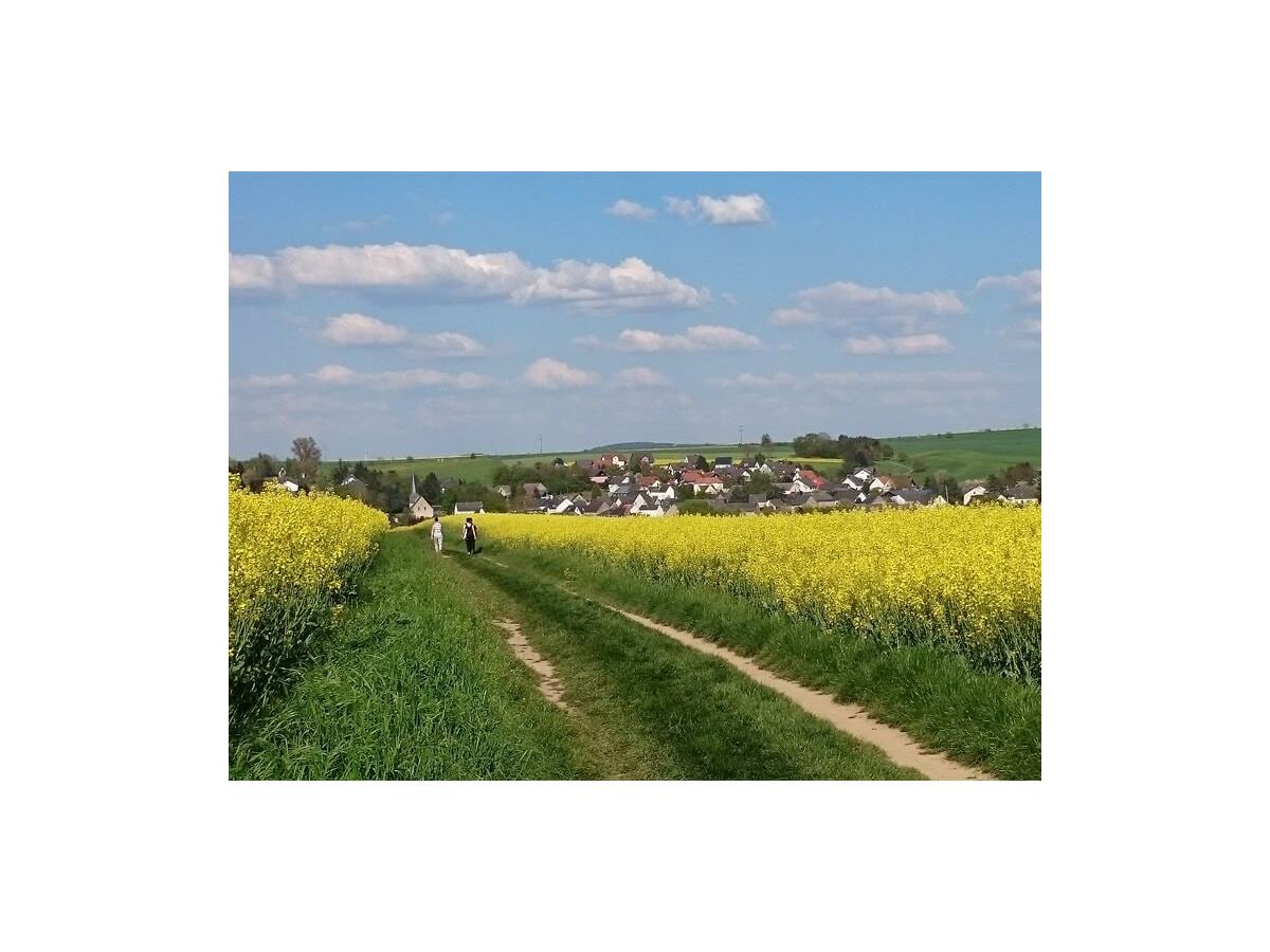 Blick auf Wierschem  Traumpf. Eltzer Burgpanorama