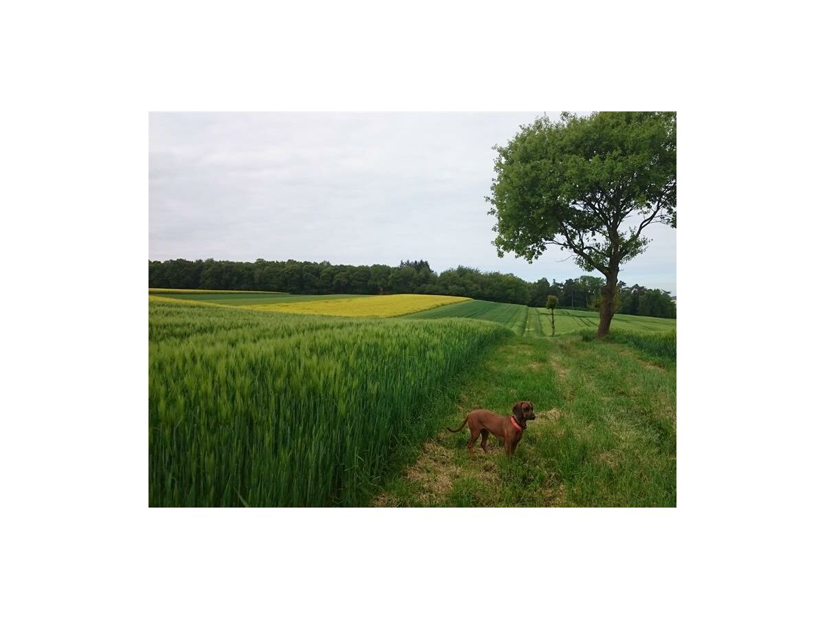 Wanderung mit unserer Ronja