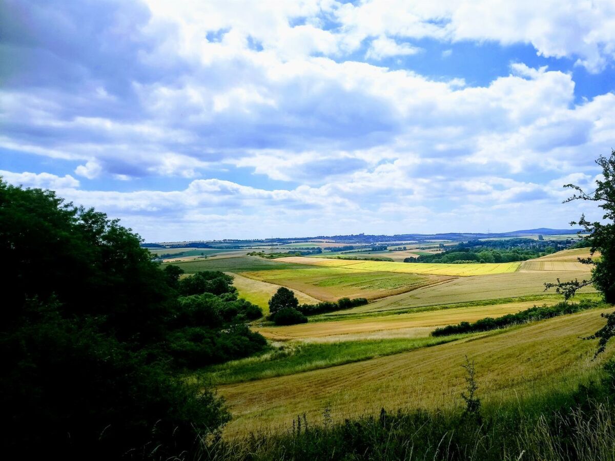 Das schöne Maifeld