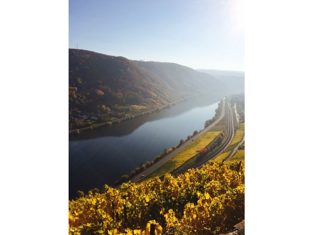 Die Mosel im Herbst