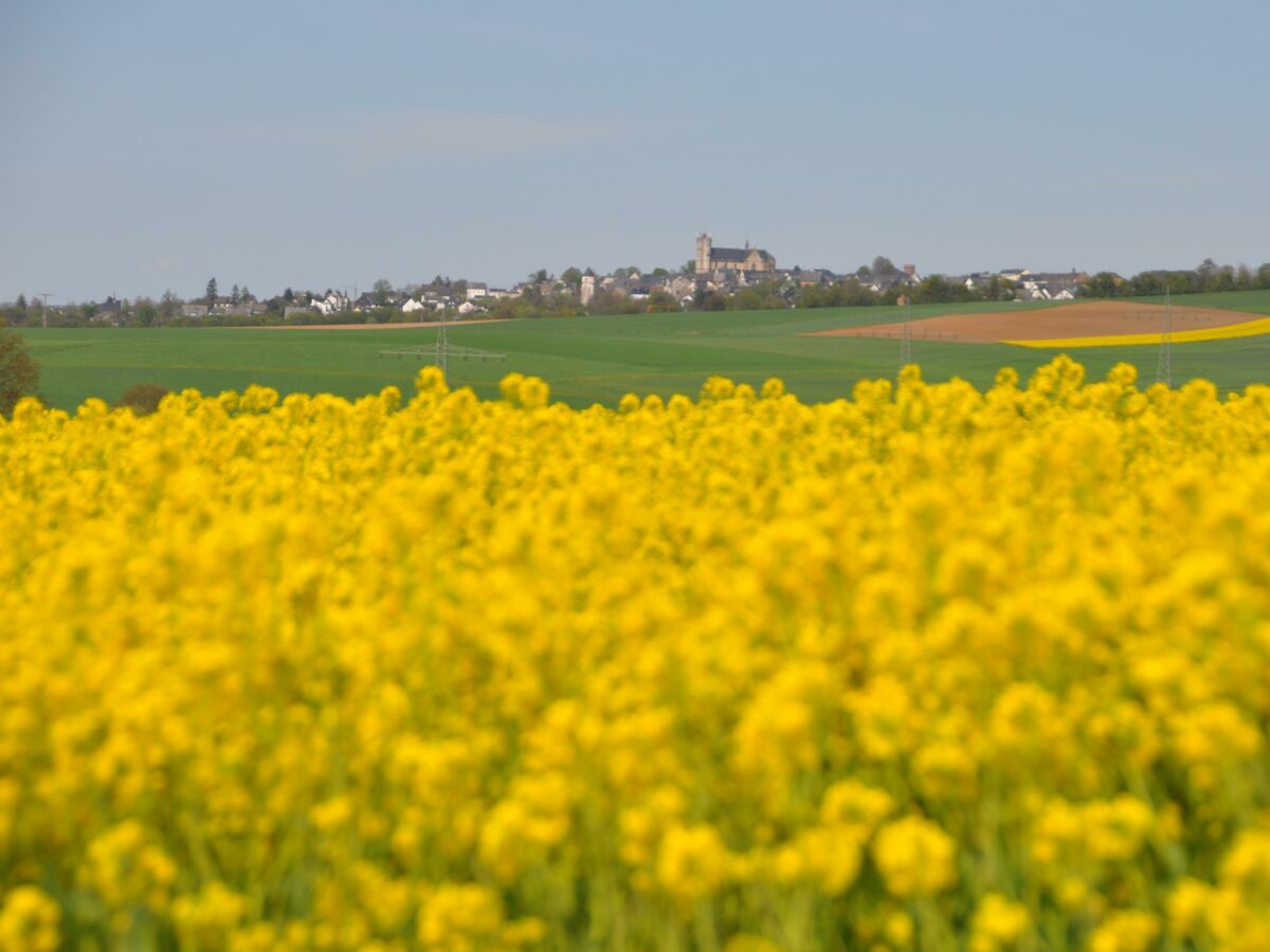 Vom Ortsrand Richtung Münstermaifeld