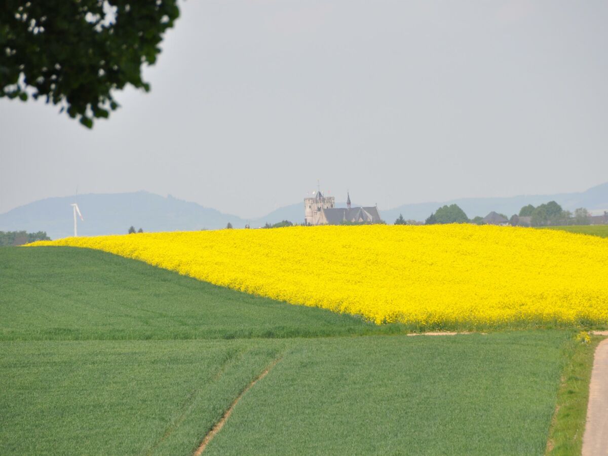 Blick nach Münstermaifeld vom einem Traumpfad