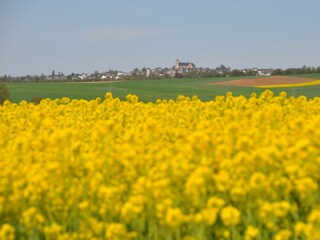 Vom Ortsrand Richtung Münstermaifeld