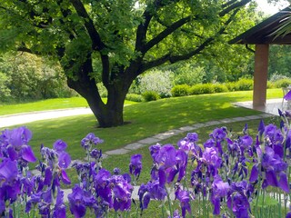 Appartamento per vacanze Manerba del Garda Registrazione all'aperto 8