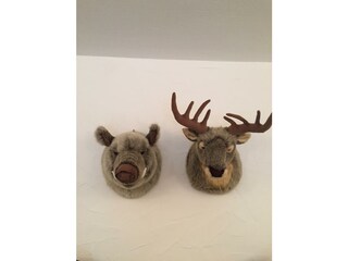 Appartement Lind (bei Mayen) Kenmerken 65