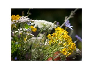 Appartement Lind (bei Mayen) Enregistrement extérieur 5