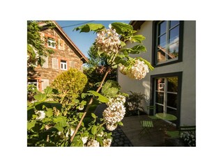 Appartement Lind (bei Mayen) Buitenaudio-opname 6