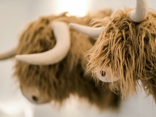 Appartement Lind (bei Mayen) Buitenaudio-opname 51