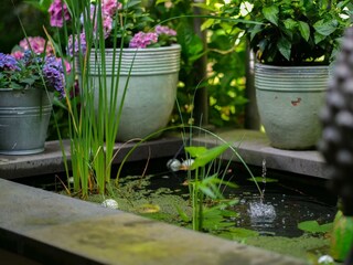 Appartamento Lind (bei Mayen) Registrazione all'aperto 53