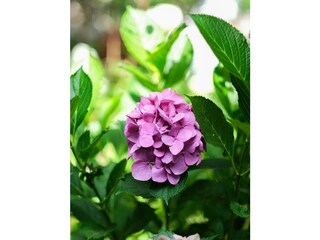 Appartamento Lind (bei Mayen) Registrazione all'aperto 55