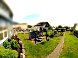Blick in den Garten