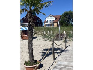 Strand gegenüber vom Strandhaus Haffkrug