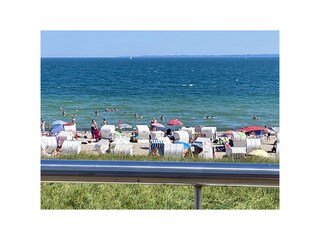 Sommer Aussicht vom Balkon