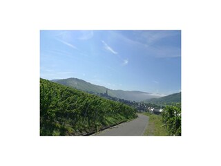 Appartement Enkirch Enregistrement extérieur 29