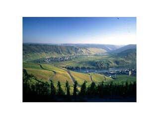 Kröv, Wolf und Traben-Trarbach