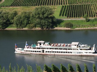 Mosel - Schifffahrt