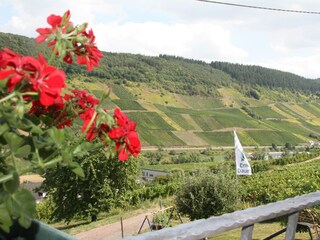 Aussicht Balkon Weingut Emil Dauns