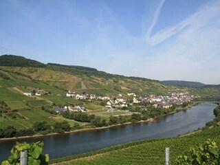 Reil/Mosel