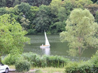 Moselblick