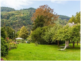 Apartamento Traben-Trarbach Grabación al aire libre 13