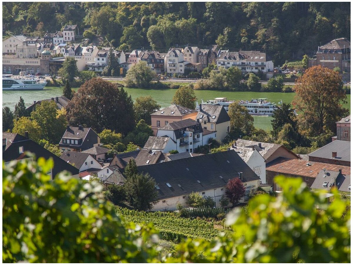 Ansicht aus  den Weinbergen