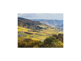 Appartement Reil Buitenaudio-opname 2