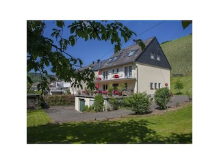 Appartement Enkirch Enregistrement extérieur 1