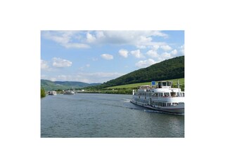 Schiff auf der Mosel 2