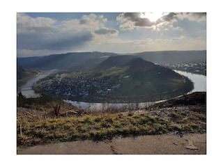 Mosel