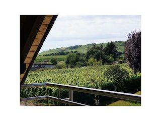 Appartement Kröv Kenmerken 14