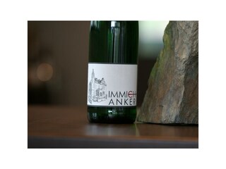 Appartement Enkirch Buitenaudio-opname 4