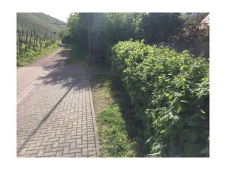 Appartement Enkirch Buitenaudio-opname 18