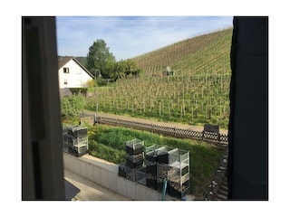 Appartement Enkirch Kenmerken 31