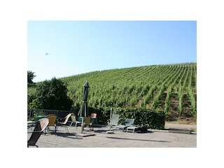 Appartement Enkirch Buitenaudio-opname 2