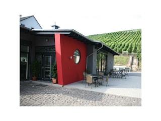Appartement Enkirch Buitenaudio-opname 4
