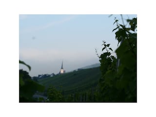 Appartement Enkirch Buitenaudio-opname 12