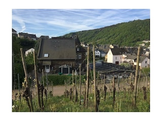 Appartement Enkirch Buitenaudio-opname 15