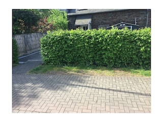 Appartement Enkirch Buitenaudio-opname 23