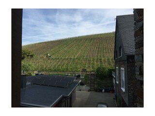 Appartement Enkirch Kenmerken 35