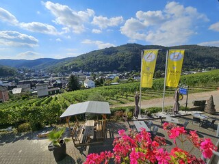 Ausblick Terrasse