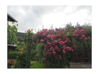 Apartamento Burg (Mosel) Grabación al aire libre 2