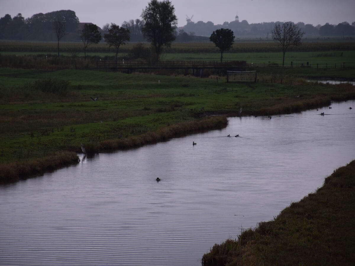 Blick auf Ditzum vom Deich am Dollart