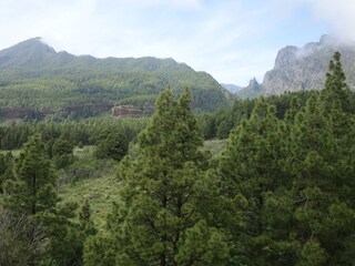 Appartamento per vacanze Tazacorte Ambiente 33