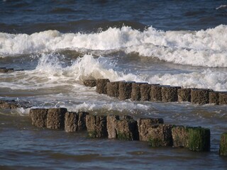 Appartamento per vacanze Domburg Ambiente 20