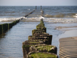 Vakantieappartement Domburg Omgeving 18