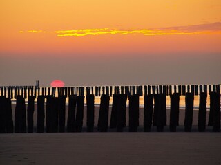 Appartamento per vacanze Domburg Ambiente 22